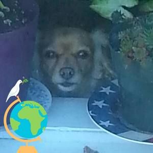 Meet your Posher, Cindy